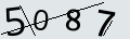 verifycode